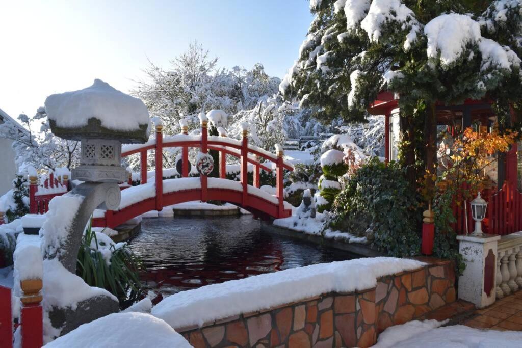 Gite Au Printemps Japonais, Petit Train De La Mure, Parc Des Ecrins Pierre-Chatel Kültér fotó