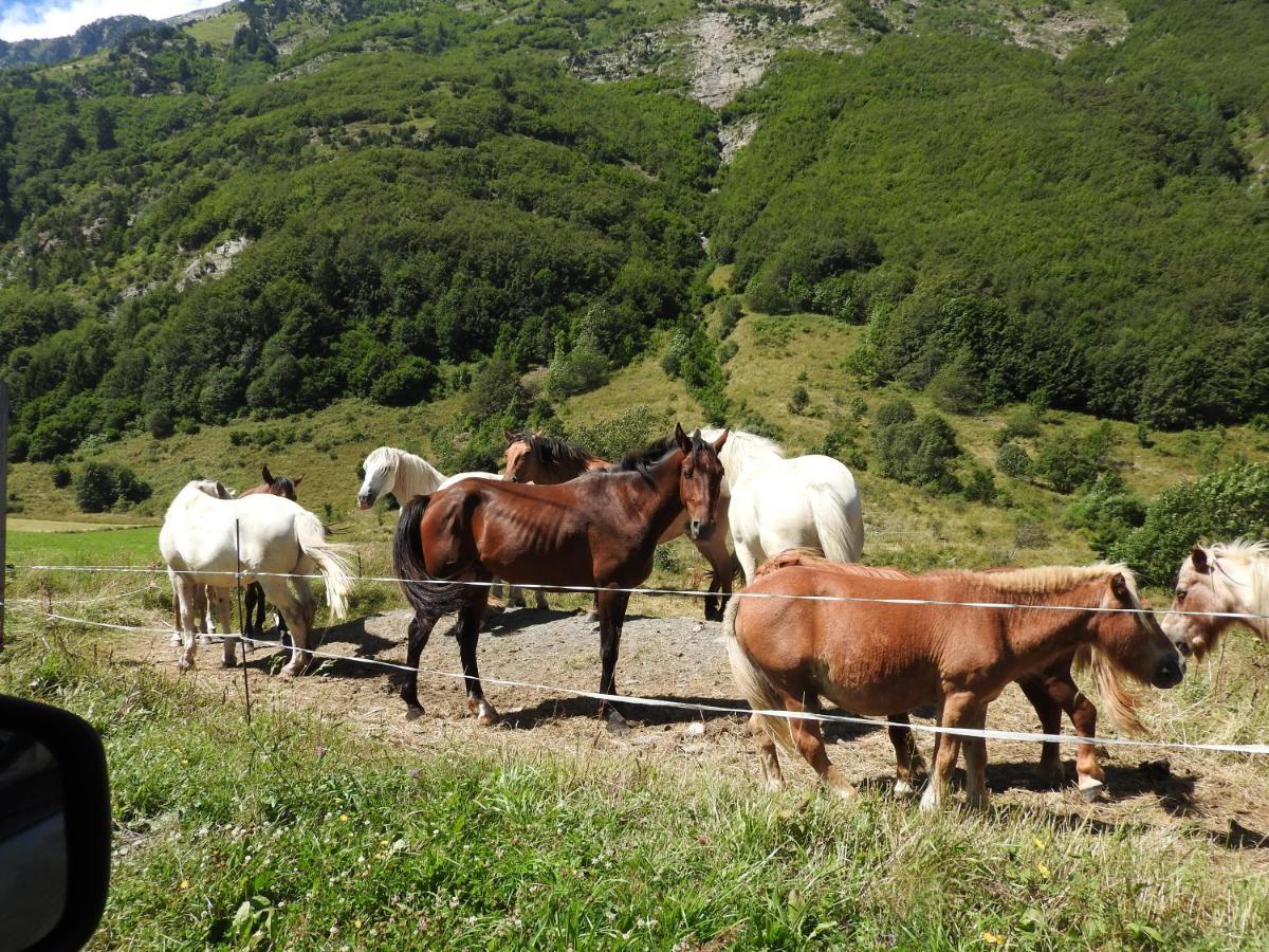 Gite Au Printemps Japonais, Petit Train De La Mure, Parc Des Ecrins Pierre-Chatel Kültér fotó